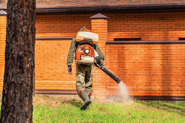 Trusted Bed Bug Control service in Orosi, CA - Nex Pest Control